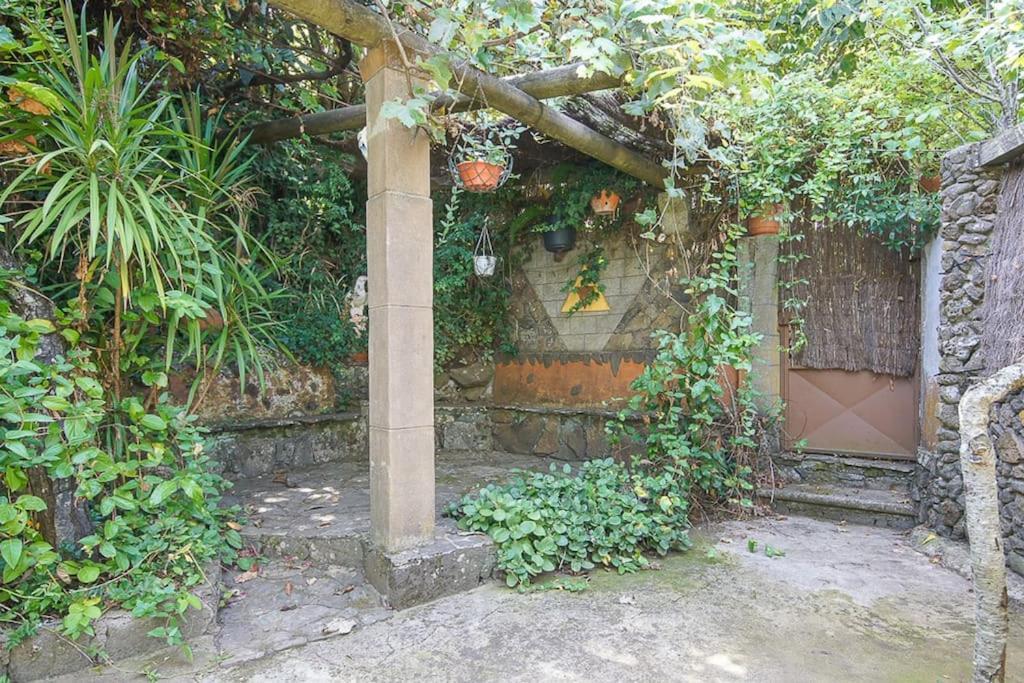 Los Matos, Canarian House In Valleseco Экстерьер фото